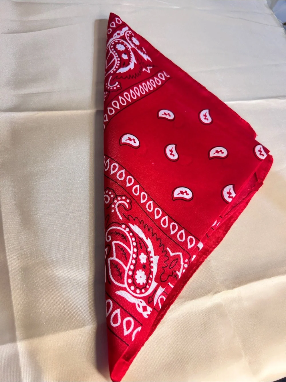 Red Paisley Bandana Scarf